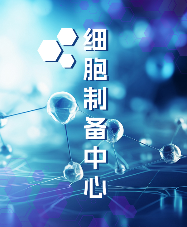 政策背景