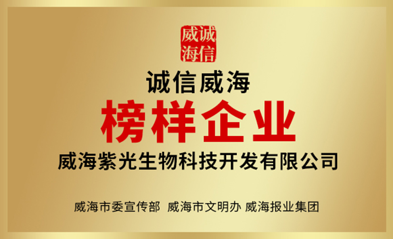 企业荣誉